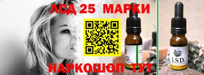 сатива Новокубанск