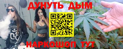 сатива Новокубанск