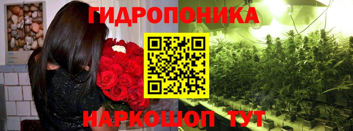 Сочи  Шишки марихуана Bruce Banner  Вход с VPN  Канабис Bruce Banner 